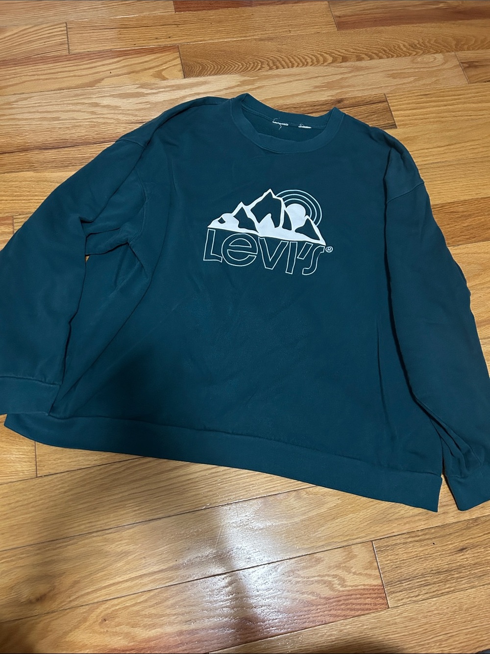 Levi's Women’s Teal Crewneck Sweatshirt with Mountain Graphic